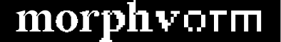 Morphvorm Logo